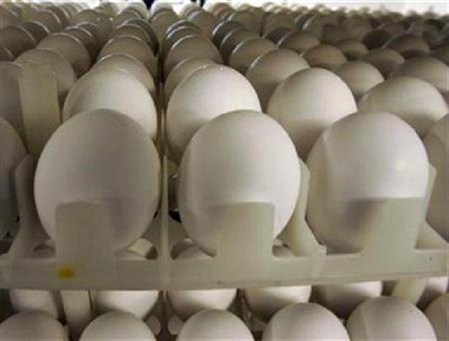 Plastic eggs: Police raid on DHA shop puts Karachi in eggs-istential crisis