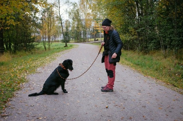 Dog trainer Marianne Mayer has welcomed the dog poo-to-energy drive. PHOTO: AFP