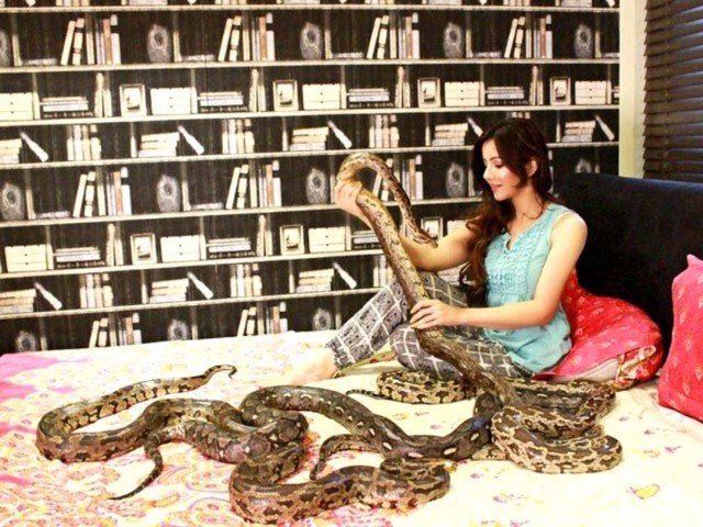 Former singer-turned-actor now pledges to introduce an awareness campaign for the protection of animals.  ALL PHOTOS: EXPRESS/FILE