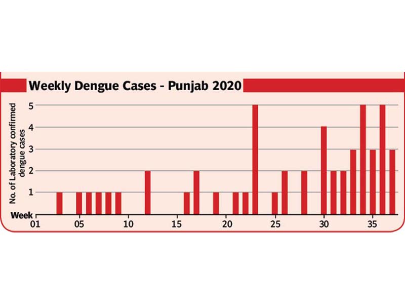 Another health risk: dengue threat looms