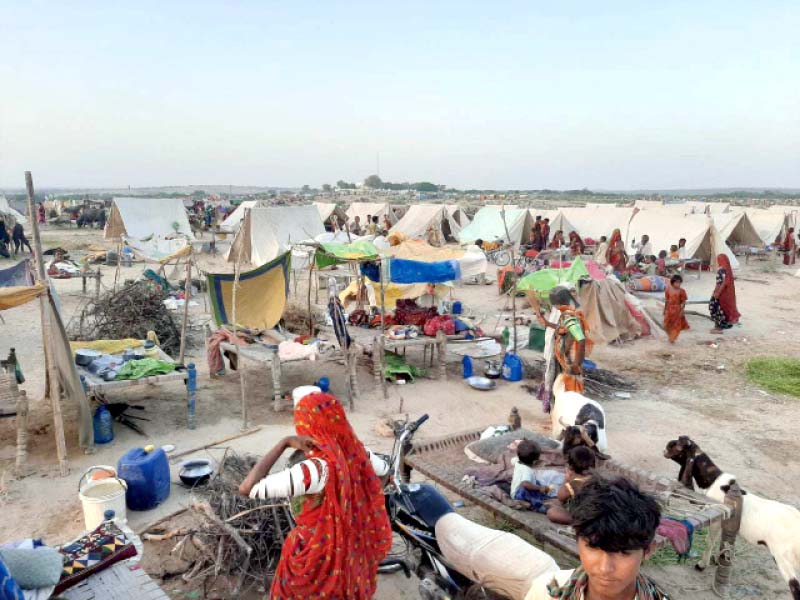 A new ‘tent city’ has formed on the outskirts of Umerkot city, with roughly 70,000 families from Sanghar, Mirpurkhas and Umerkot districts having found refuge at a desert mound near Pakistan Chowk, Umerkot. PHOTO: EXPRESS