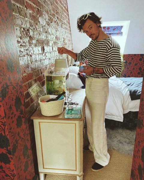 Harry Styles crashes at fan’s house after car breaks down