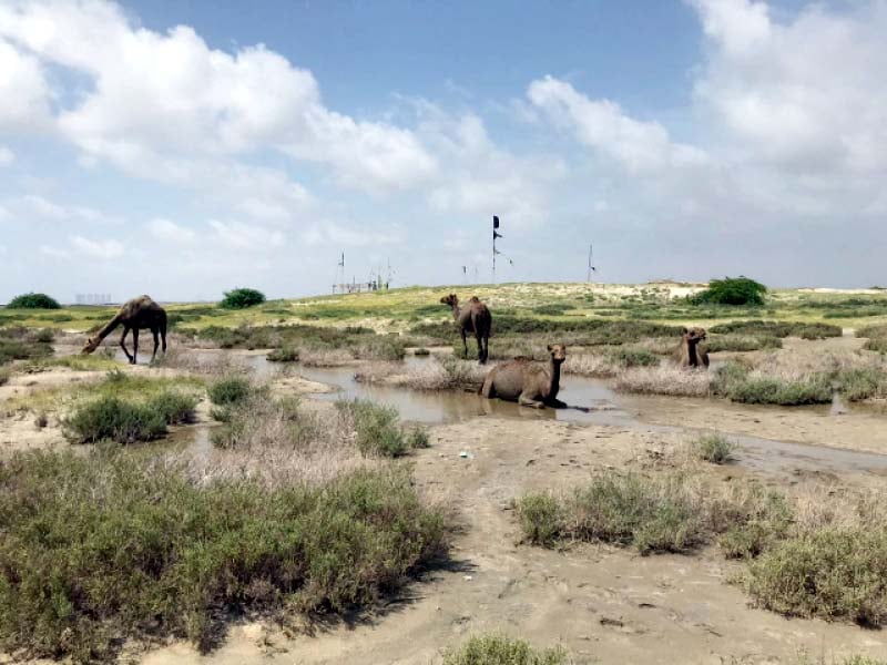 Bhara Kahu allottees to get plots by 2022