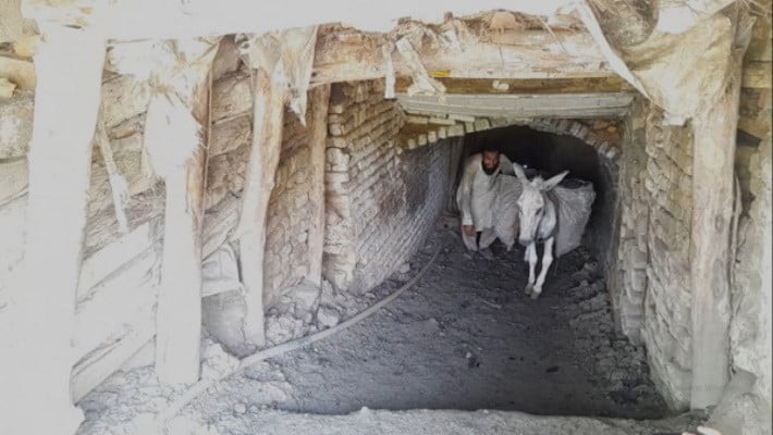 Unsung heroes: The humans and donkeys of Pakistan’s coal mines