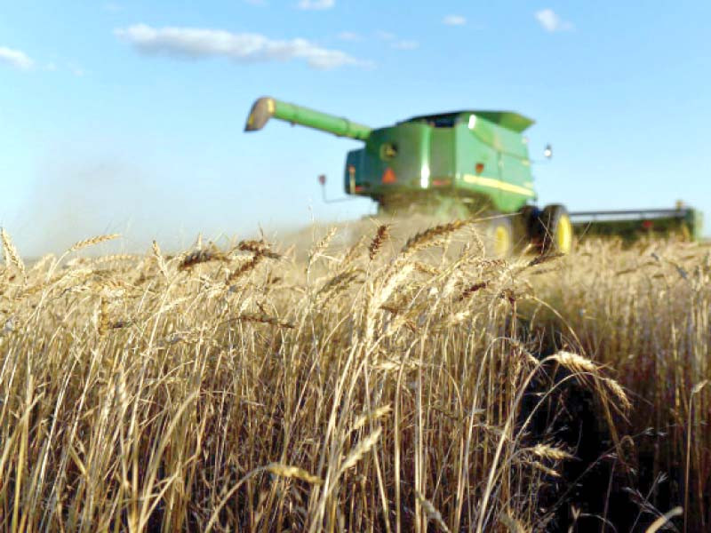 Agriculture sector achieves growth target