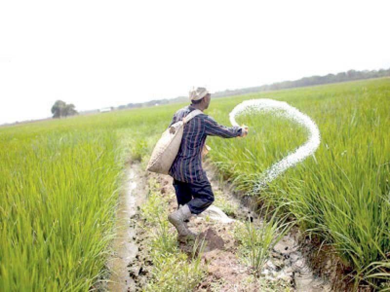 Commissioner for action against fertiliser hoarding