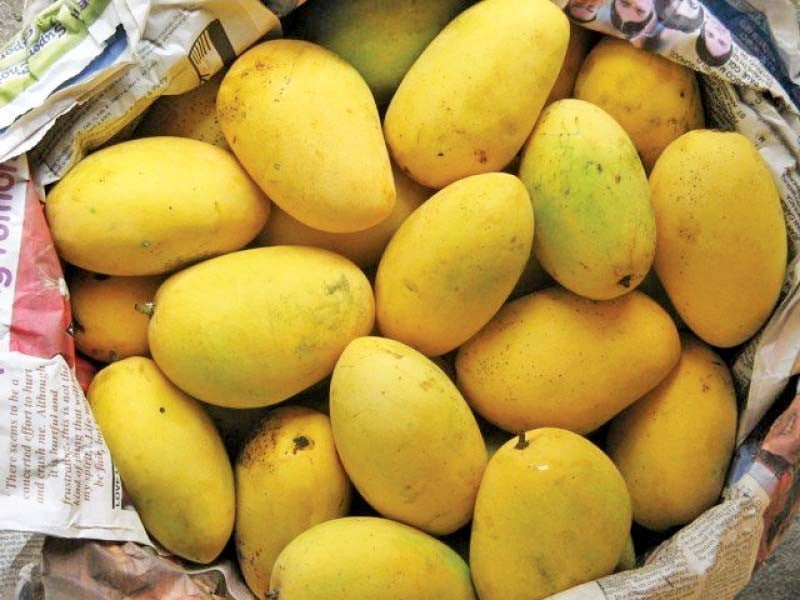 Mango festival marks 75 years of ties