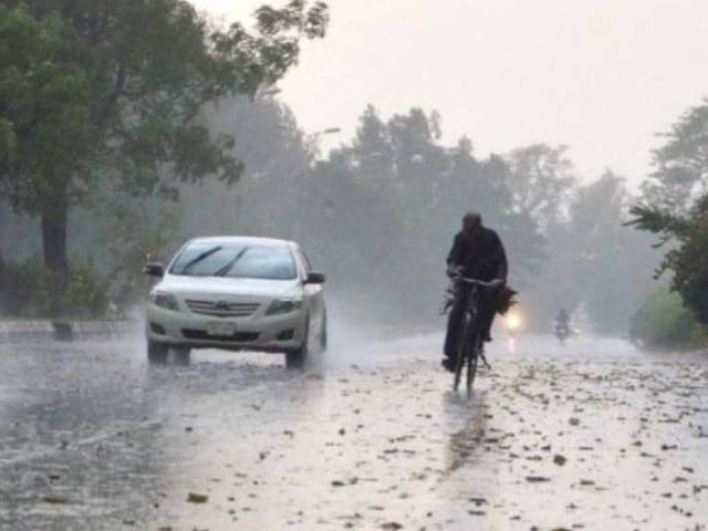Monsoon drive replaces Miyawaki forests