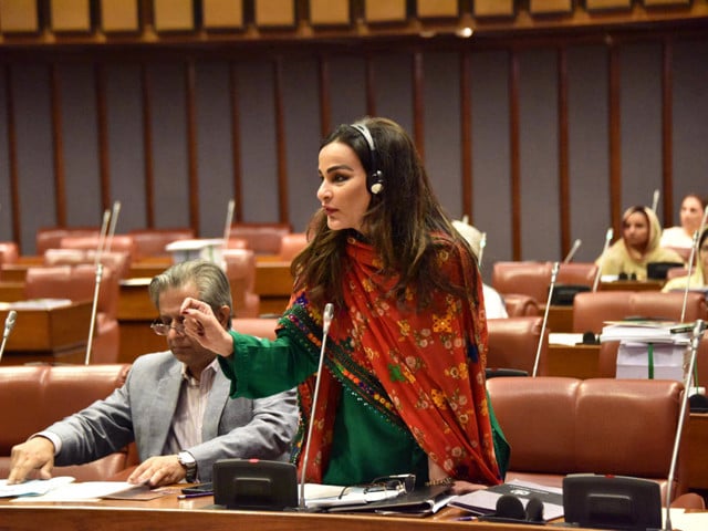 Senate unanimously condemns mob lynching incidents in Sargodha, Swat