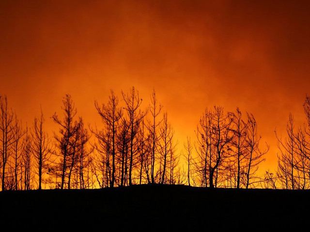 Forest fires continue to threaten landscape