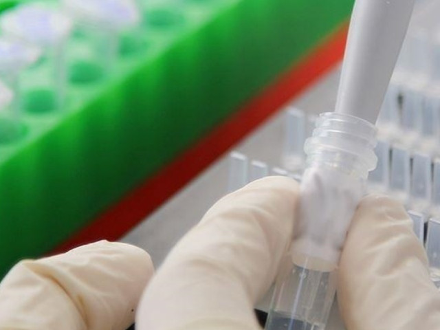South Korea reports African swine fever in Gyeonggi