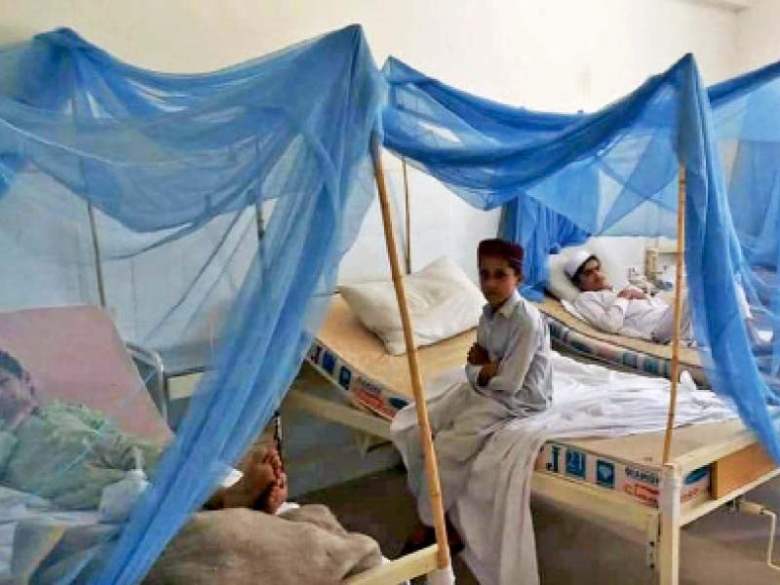 Punjab sees post-rain spike in Dengue cases, total reaches 447
