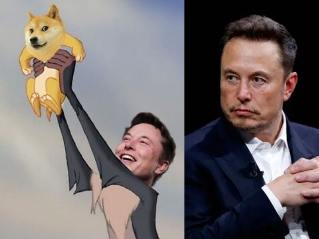 Elon Musk debuts DOGE logo as Trump appoints him co-head of the Department of Government Efficiency