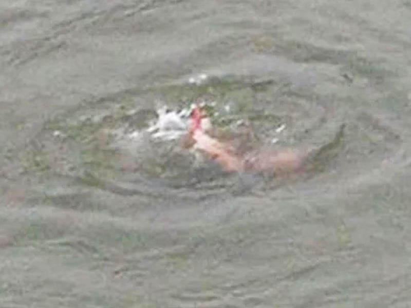 Marital issues pushed teacher to jump into sea with kids